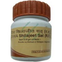 Divya Shilajeet sat