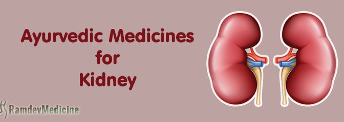 Ayurvedic Medicine For Kidney